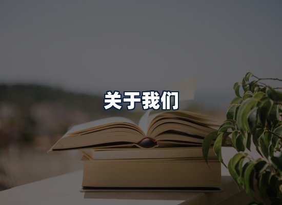 关于我们